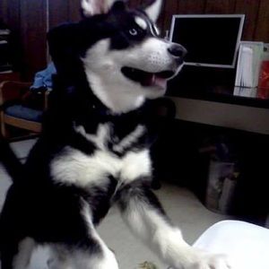 Meet your Posher, Esther